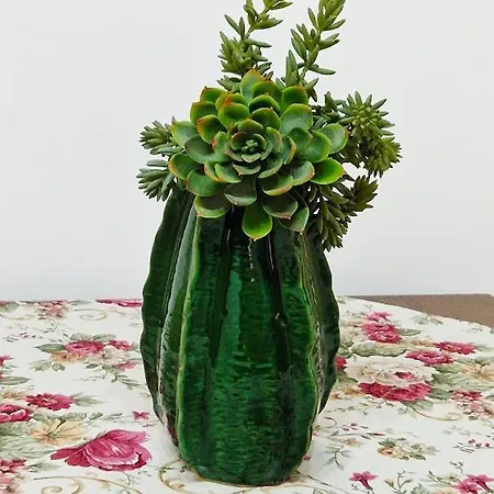 Dimora Biancodoro 로코로톤도