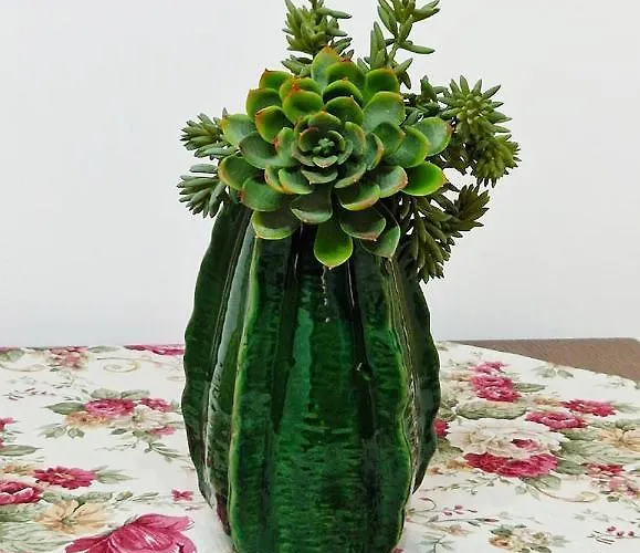 Dimora Biancodoro לוקורוטונדו